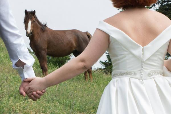 Next day at lake Plastiras