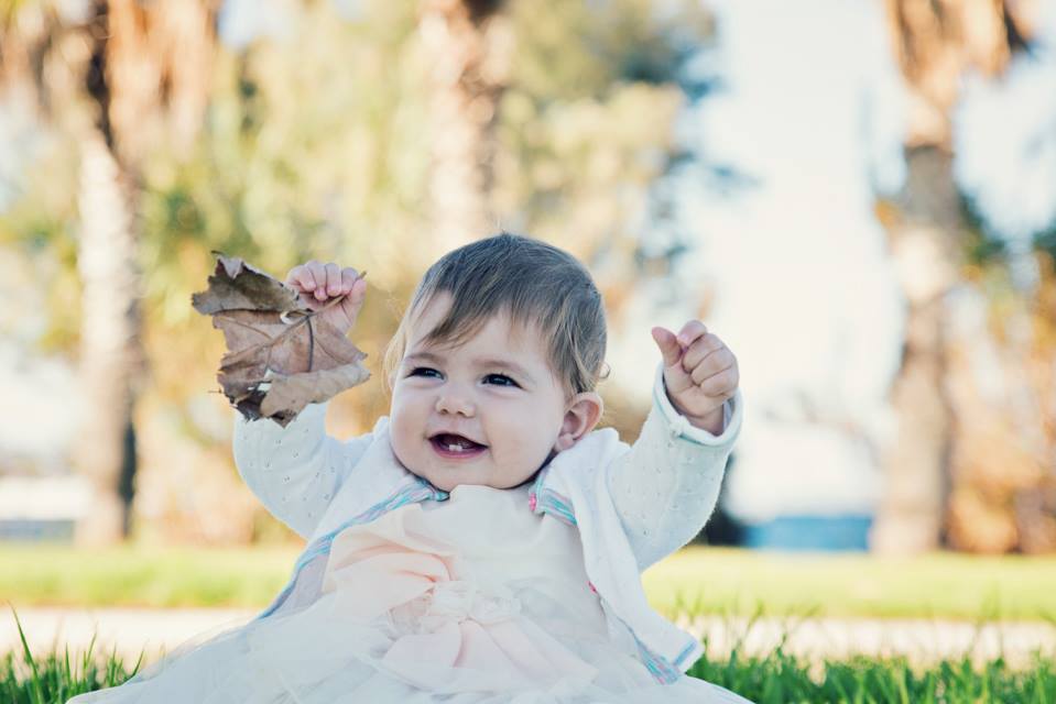 28783164 736965676493360 5952608332292398118 n